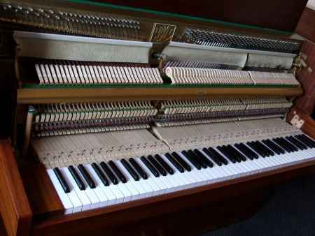 Rippen Pianos-Pianos for Sale